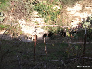 Castellaccio